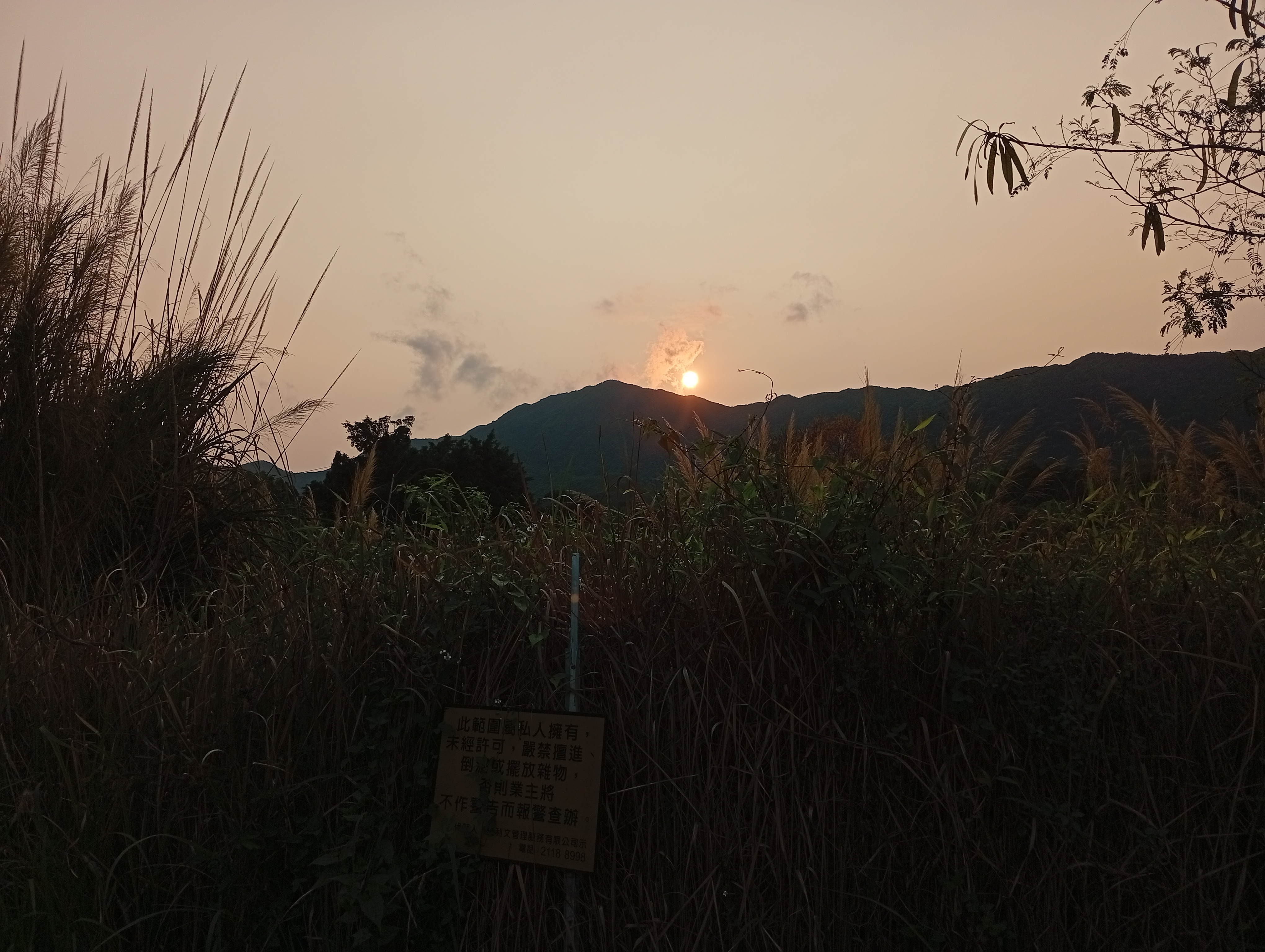Irene  profile banner image