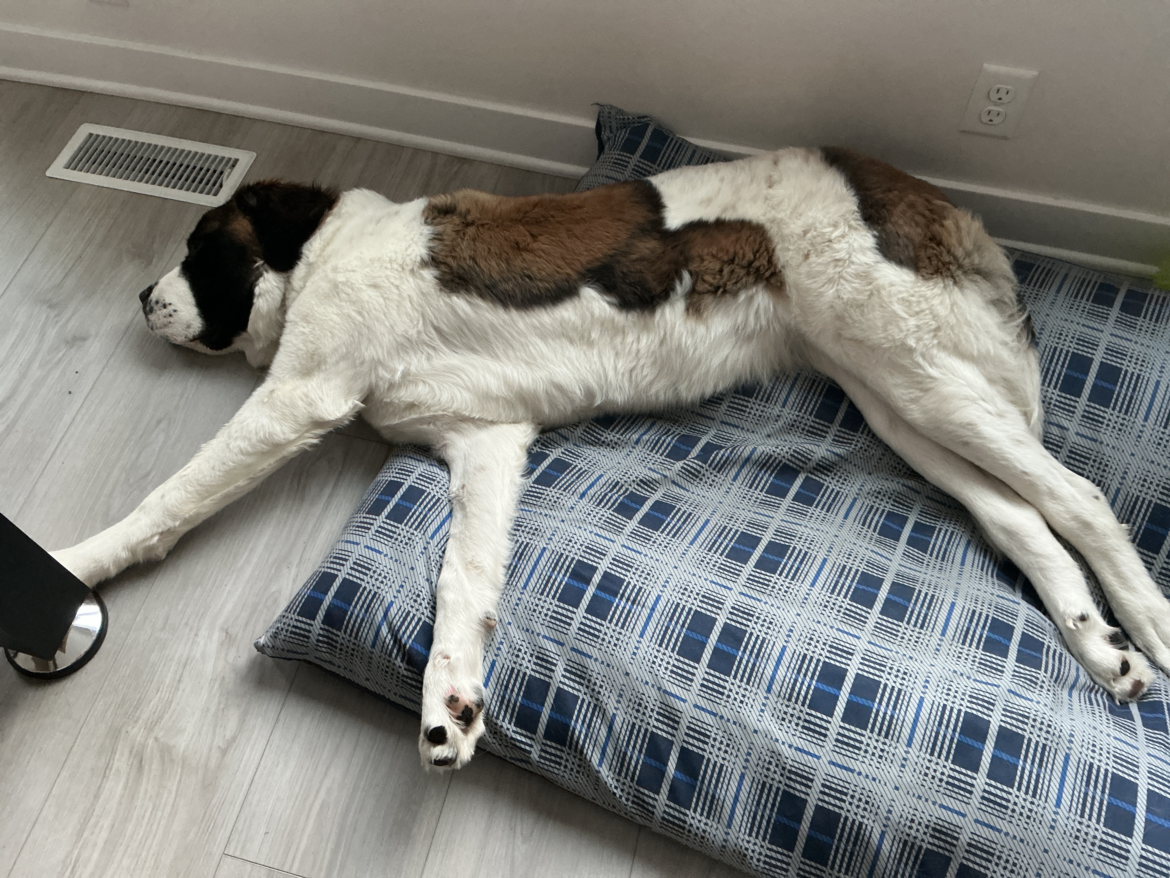 Doug  profile banner image